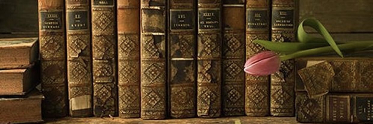 Virgínia Martí Blasco banner