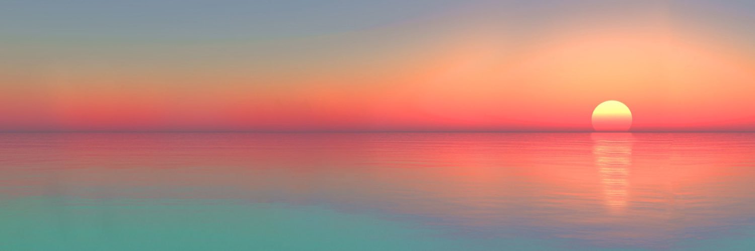 Lars █████ banner