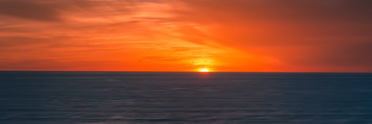 Sebastian Martinez banner