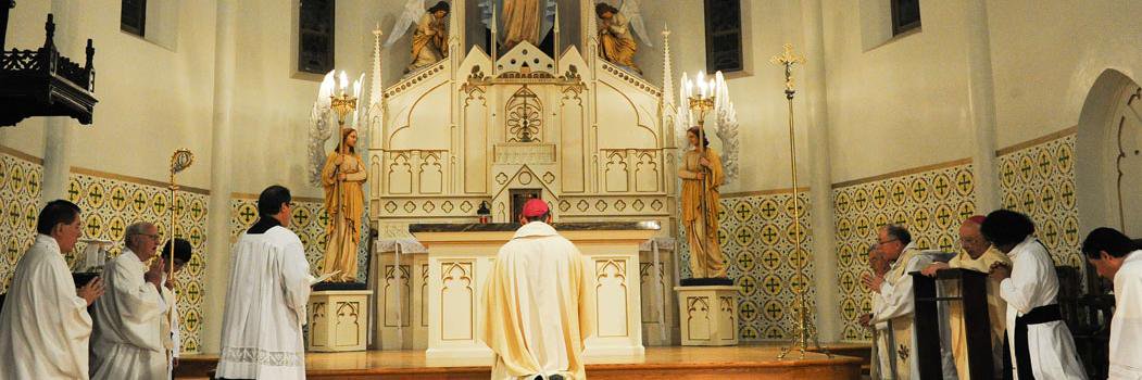 Brownsville Diocese banner