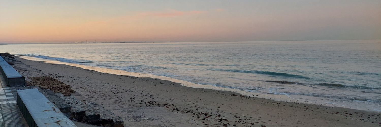 PEPEALMENA's profile banner image