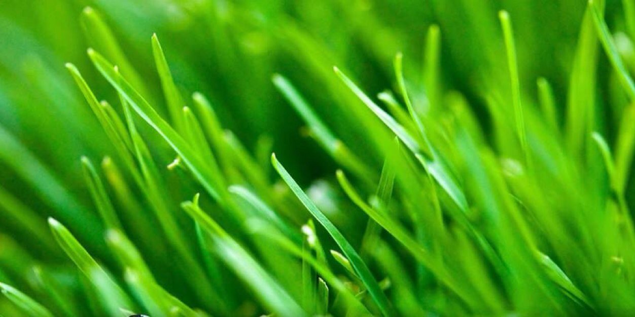 ToddClandscape1's profile banner image