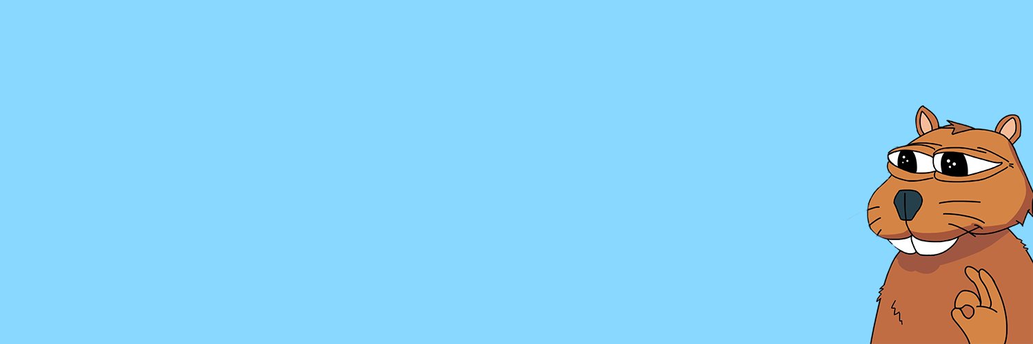 CAPY on Solana banner