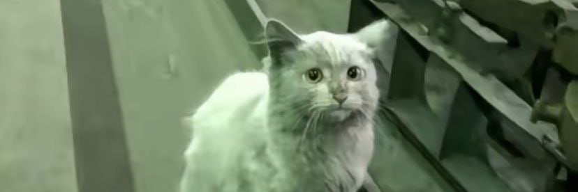 Catrew_blu's profile banner image