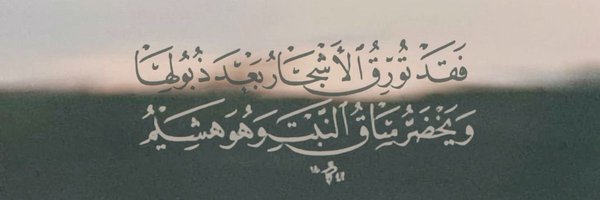 rloxf Profile Banner