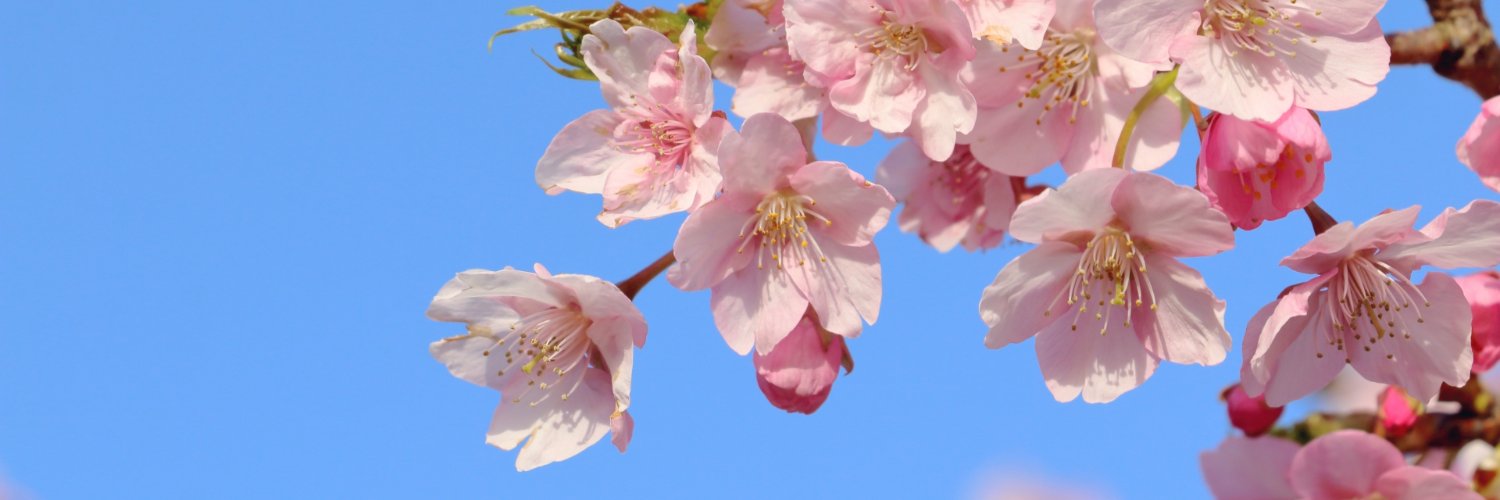 支えが必要 banner