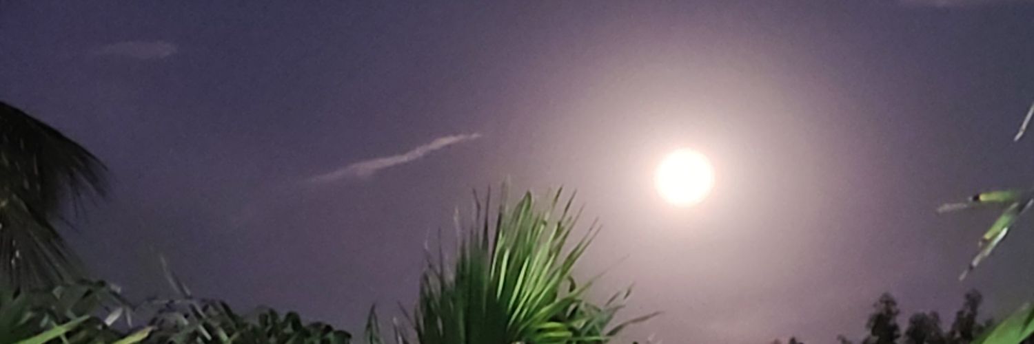 marta_couto's profile banner image