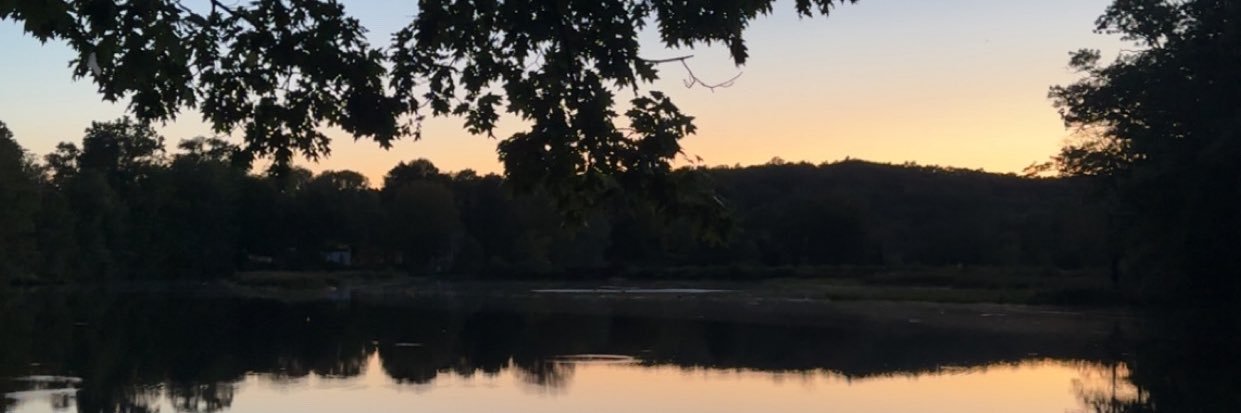 amberlizzxo's profile banner image
