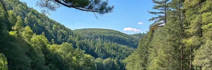 ✨💖jazmin_garfield💖✨ banner