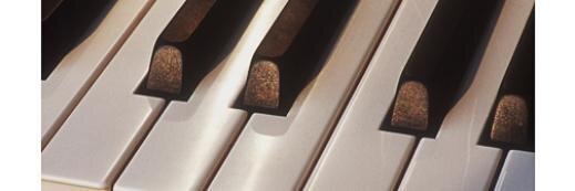 L_11_'s profile banner image