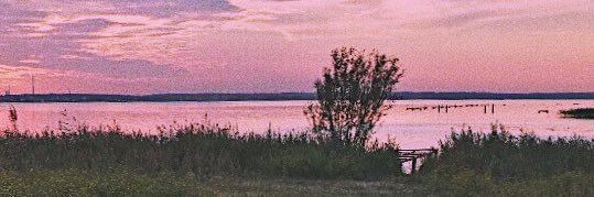 ermkv's profile banner image