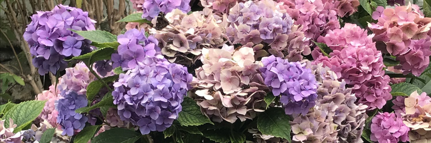 nitekim_'s profile banner image