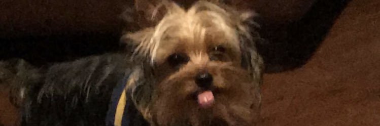 sergitooo_'s profile banner image