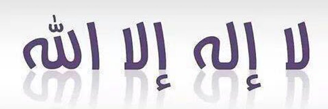 wwwghref's profile banner image