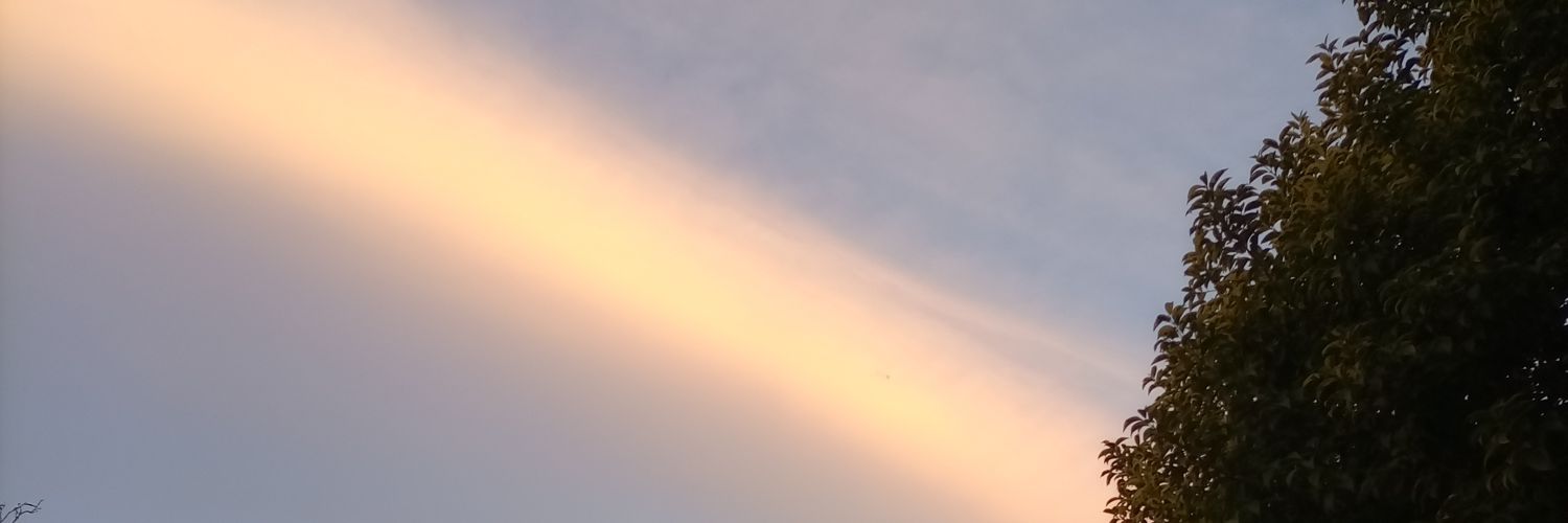 El versátil 3.0 banner