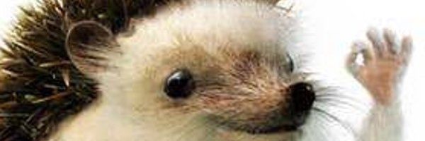 byzonbreak Profile Banner