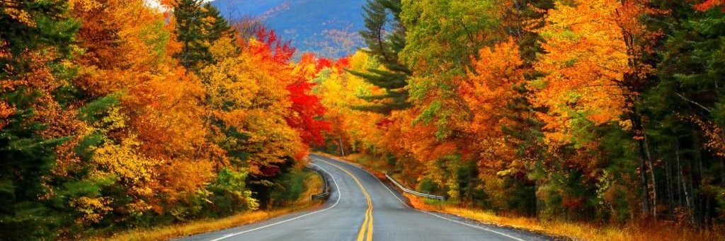 Frank Canna ☮️ banner