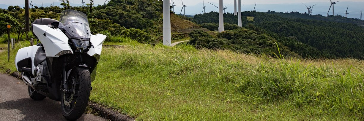 もそもそ冬毛(簡易型) banner