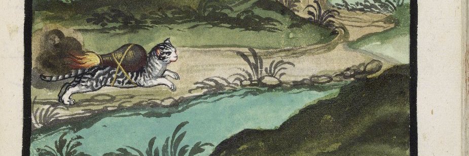 DrMichaelLouis's profile banner image