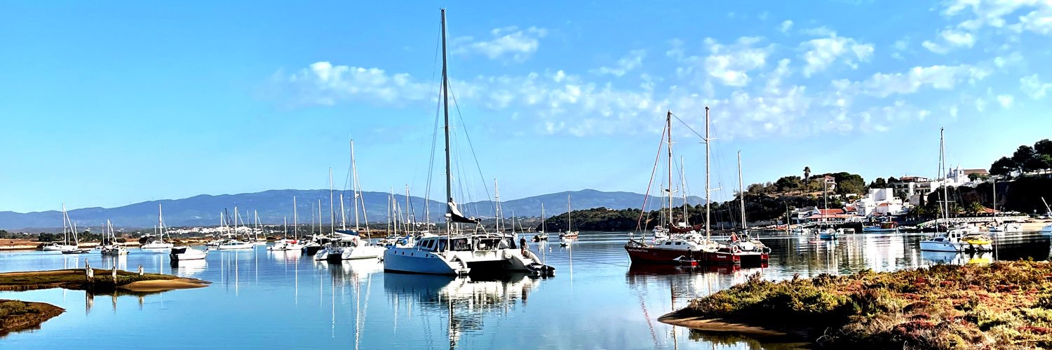 Maxwell Silverhammer banner