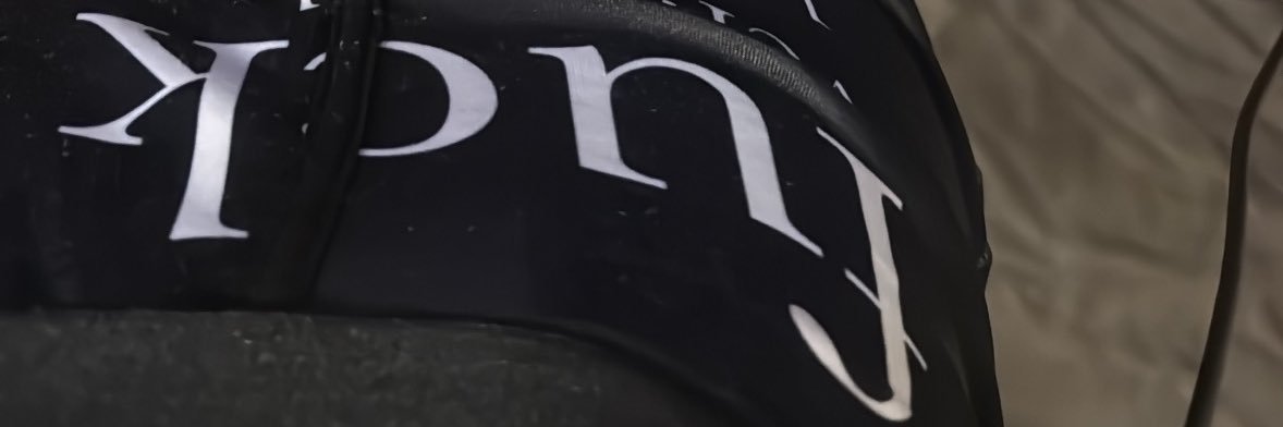 fslaarius's profile banner image