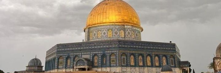 𝘏𝘢𝘴𝘳𝘦𝘵 banner