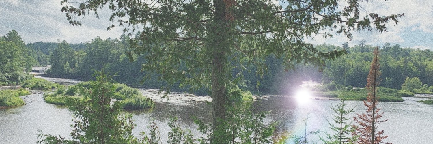 MckaylaYork's profile banner image