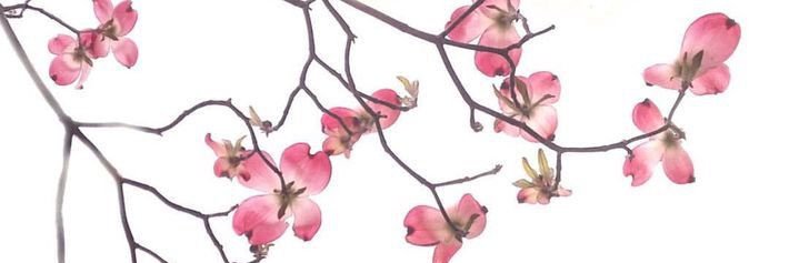 auyuonm's profile banner image