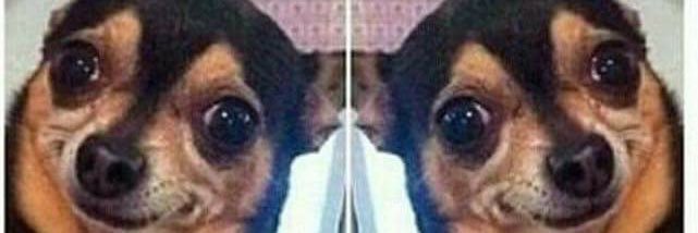 GabSkar's profile banner image