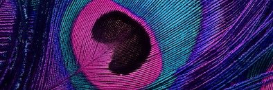 katieoddsoxx's profile banner image