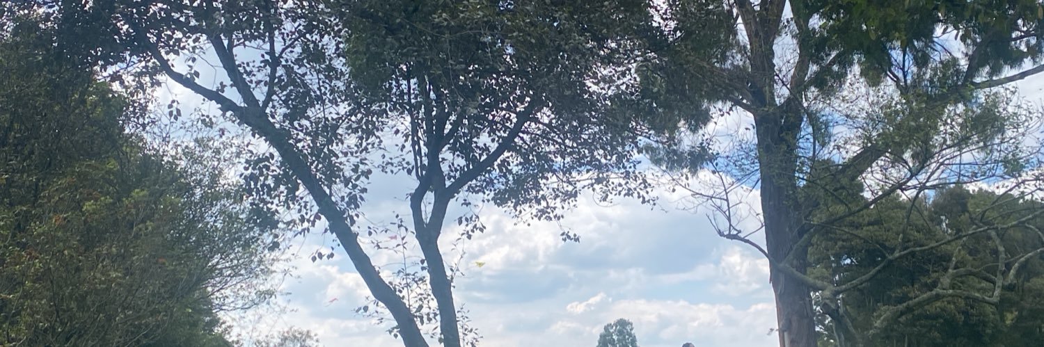 oferosa's profile banner image