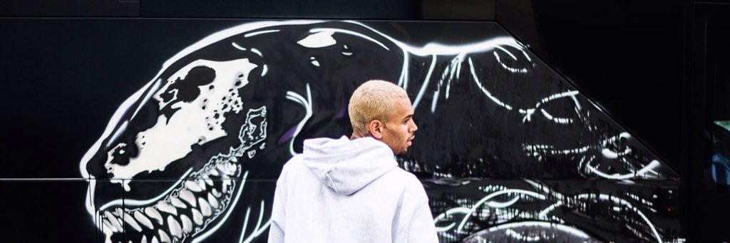 whychrisbrown's profile banner image