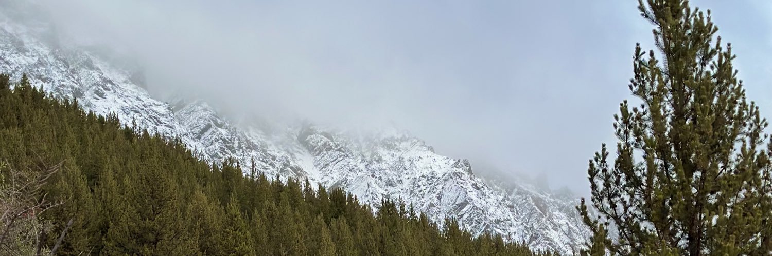 lourlmp's profile banner image