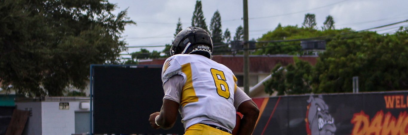 Alexander “ZIGGY” johnson banner