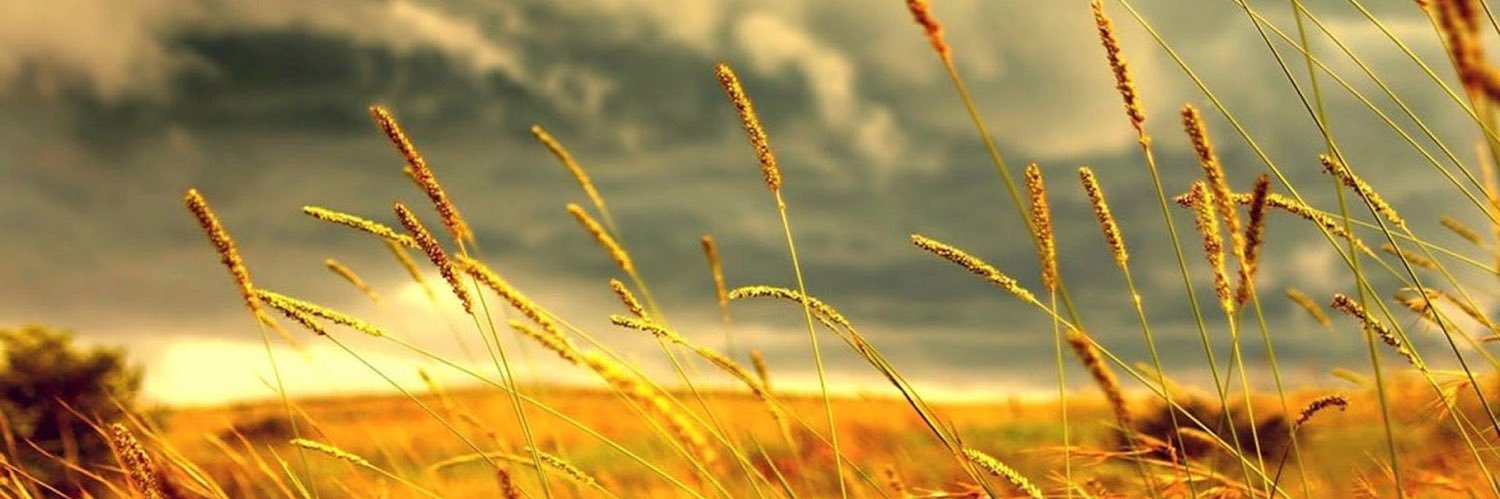 dhdyer's profile banner image