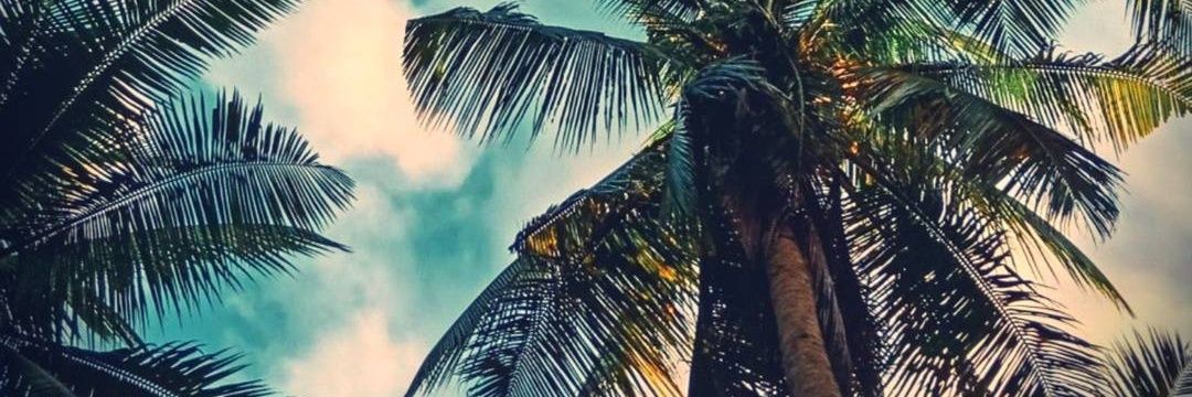 bluurrrr_'s profile banner image