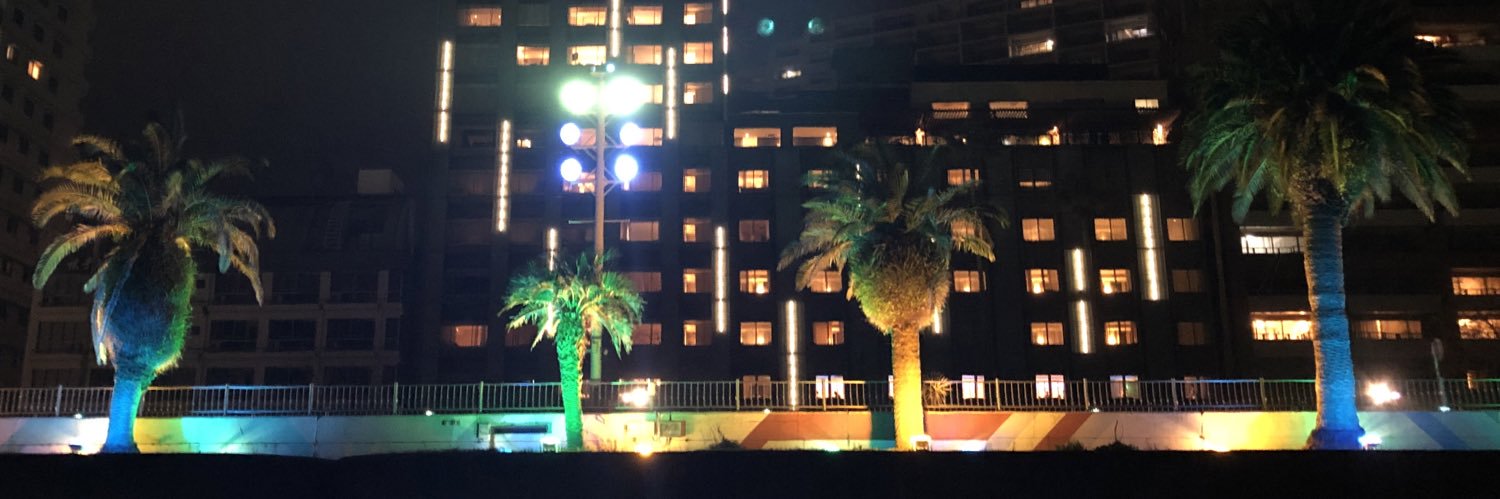 happy_dolphins's profile banner image
