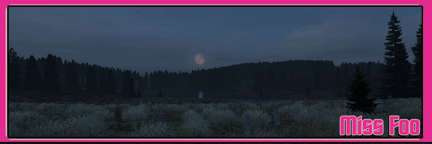 MissFooTTV's profile banner image