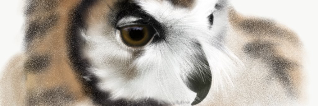 visualcondyle's profile banner image
