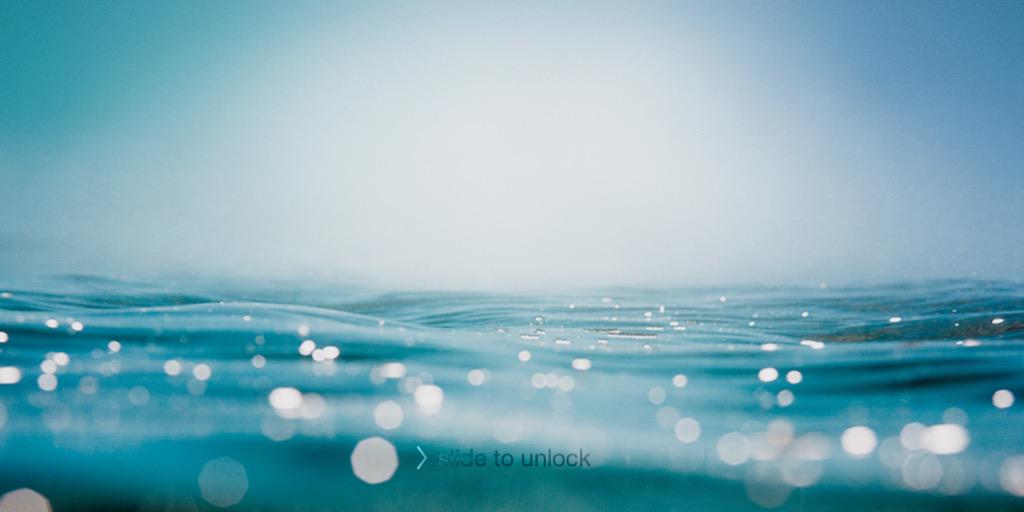 ZippyMusyimi's profile banner image