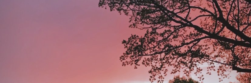 MirandaSherman's profile banner image