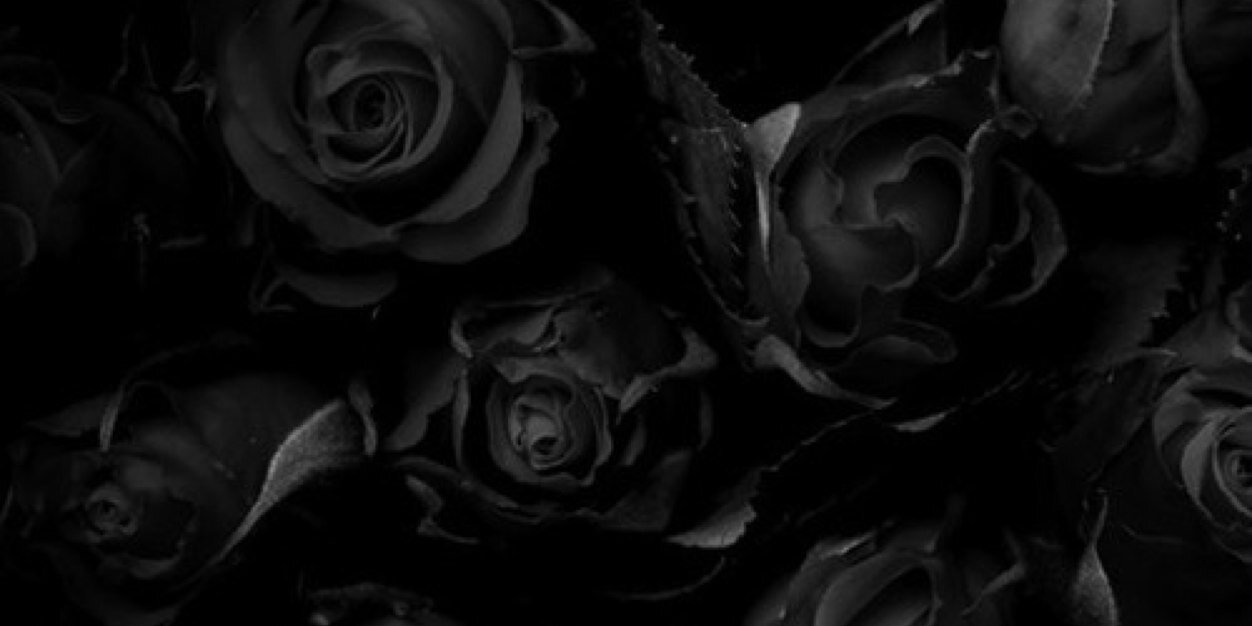 AdrianTanFishy's profile banner image