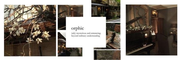 𝗖𝗛𝗜𝗔𝗥𝗔. banner