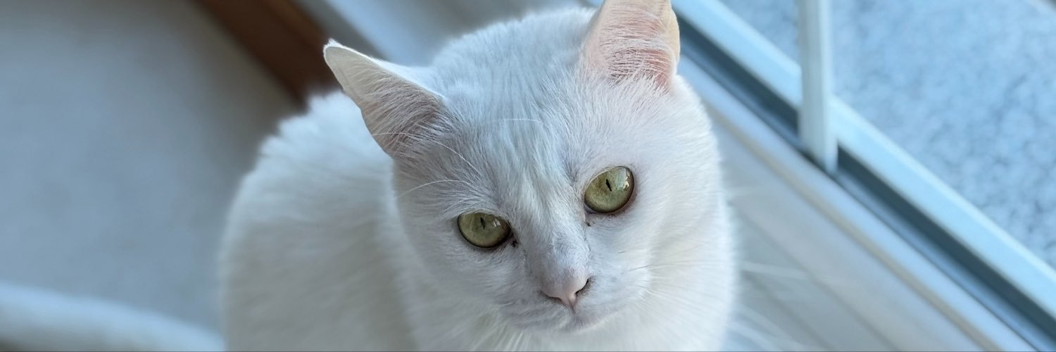 meleopatra's profile banner image