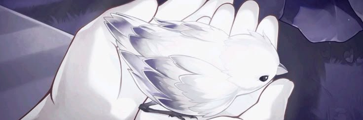 katsupaws's profile banner image