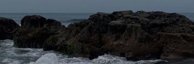 Random_Alla's profile banner image