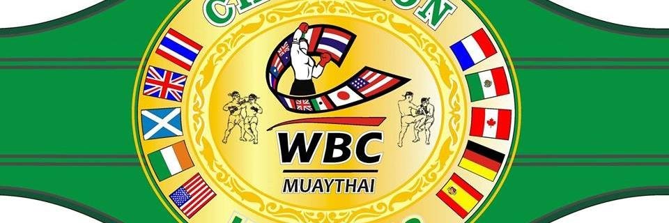 FightNetworkTV's profile banner image