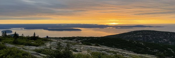 brockact2 Profile Banner