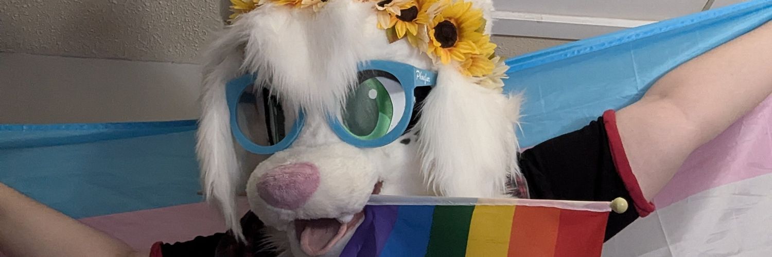 Snowball🏳️‍⚧️🏳️‍🌈snowballwolf.bsky.social banner