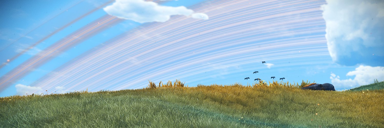 David Zühlke (Draco) 🇺🇦🇪🇺 banner